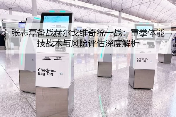 张志磊备战赫尔戈维奇统一战：重拳体能技战术与风险评估深度解析