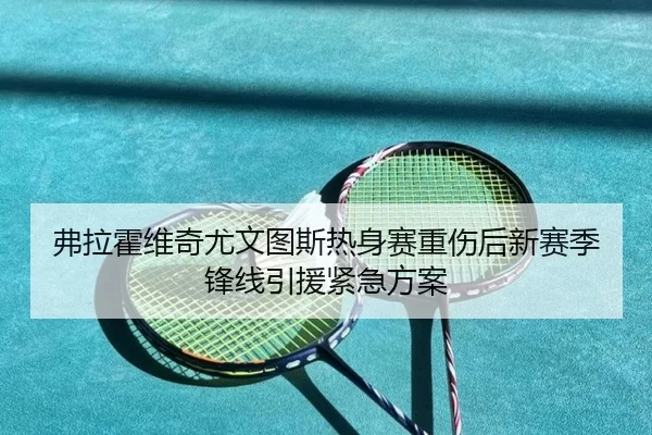 弗拉霍维奇尤文图斯热身赛重伤后新赛季锋线引援紧急方案